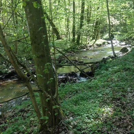 Mazur 35 Szyldak
