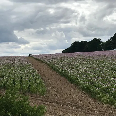 Mazur 35 Apartment Szyldak