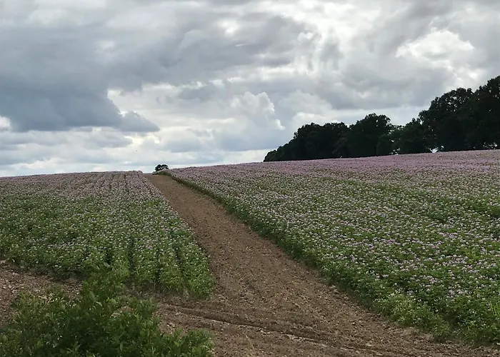 Mazur 35 Apartment Szyldak